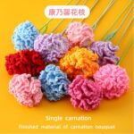 Crochet Carnations 钩针康乃馨
